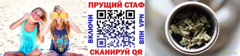 Где найти наркотики Гурьевск СОЛЬ  Меф  Галлюциногенные грибы  Гашиш 
