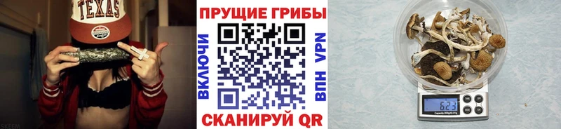 Псилоцибиновые грибы Magic Shrooms  Гурьевск 