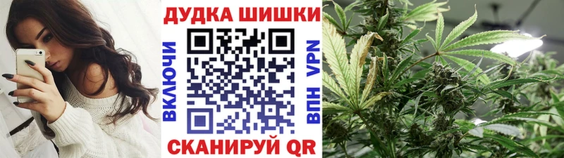 Шишки марихуана сатива  Гурьевск 